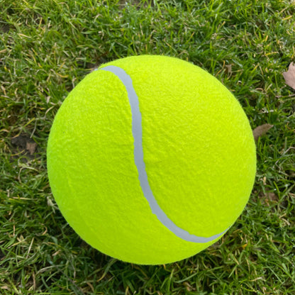 Pelota Gigante