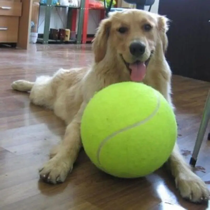 Pelota Gigante