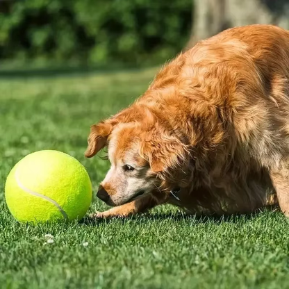 Pelota Gigante